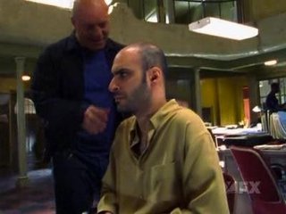 "The Shield"